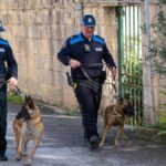 Detenzione di un minorenne italiano a Malta: le condizioni al vaglio della Farnesina