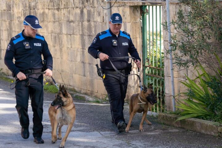 Detenzione di un minorenne italiano a Malta: le condizioni al vaglio della Farnesina