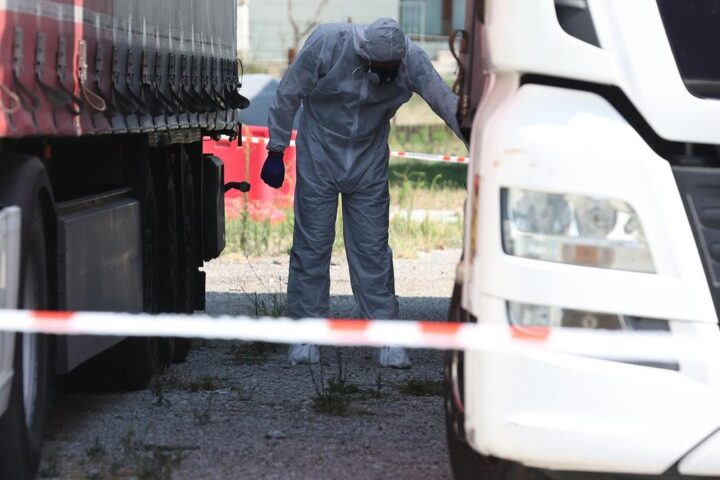 Dibattito su sicurezza a Forlì: Zattini critica la gestione dei giovani delinquenti e il senso di impunità