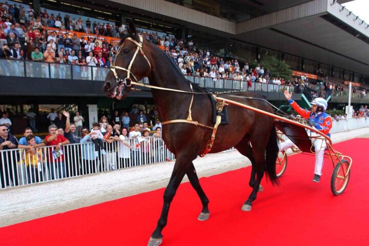 È morto Varenne, il miglior cavallo trottatore italiano di sempre a 31 anni