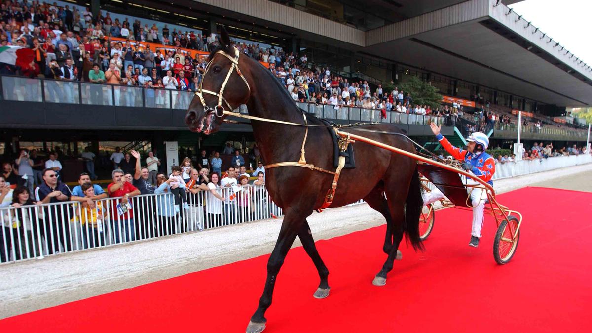 È morto Varenne, il miglior cavallo trottatore italiano di sempre a 31 anni