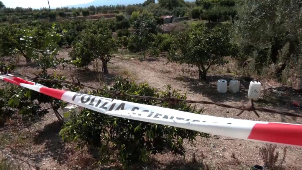 Fermato il marito di Carmela Bifano, uccisa a Corigliano con colpi di pietra
