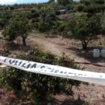 Fermato il marito di Carmela Bifano, uccisa a Corigliano con colpi di pietra