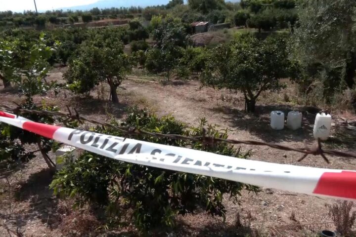 Fermato il marito di Carmela Bifano, uccisa a Corigliano con colpi di pietra
