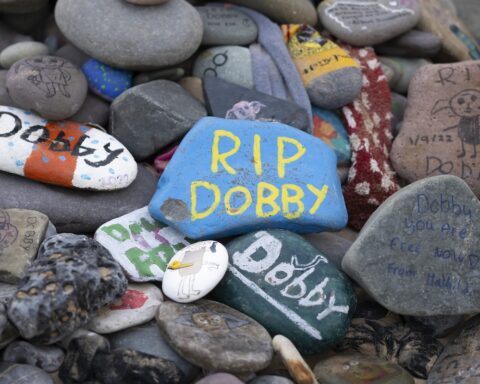 I fan di Harry Potter fanno deviare il cavo sottomarino Greenlink per la tomba di Dobby