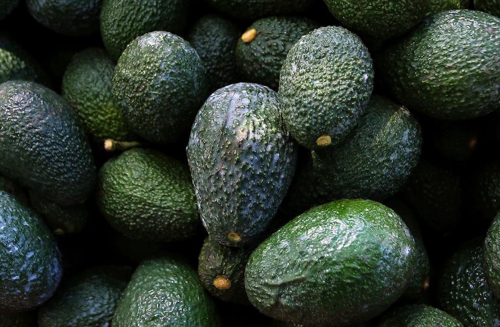 Il Messico schiera 1.557 soldati nel Michoacán dopo la sospensione dei controlli di qualità per l'esportazione di avocado negli Stati Uniti