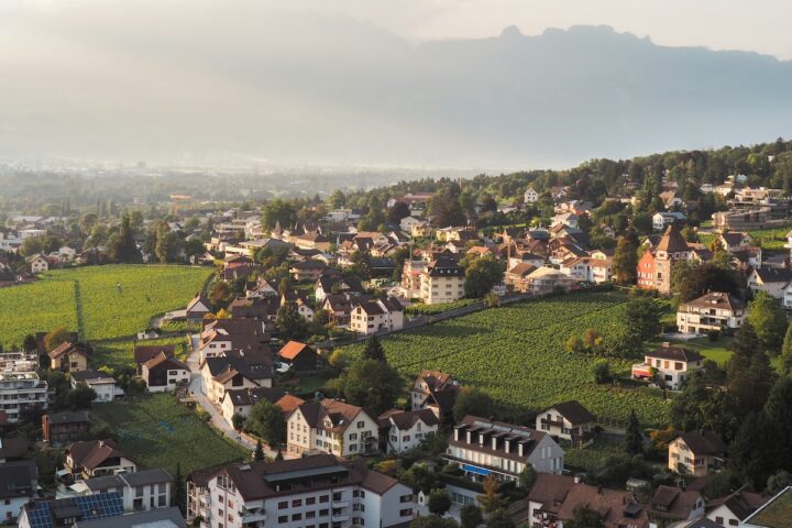Il principe del Liechtenstein si oppone alla legalizzazione dell'aborto nonostante l'iniziativa popolare