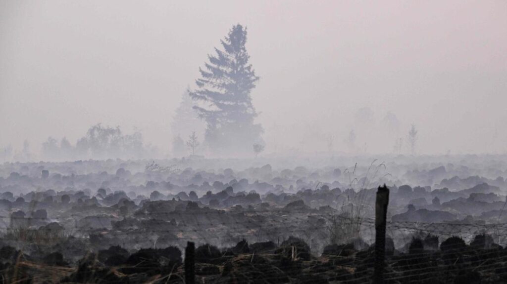 Incendi in Spagna e Belgio, la Francia investe 100 milioni per il supporto ai danni