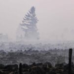 Incendi in Spagna e Belgio, la Francia investe 100 milioni per il supporto ai danni