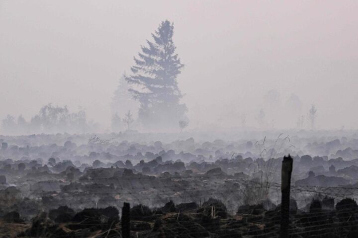 Incendi in Spagna e Belgio, la Francia investe 100 milioni per il supporto ai danni