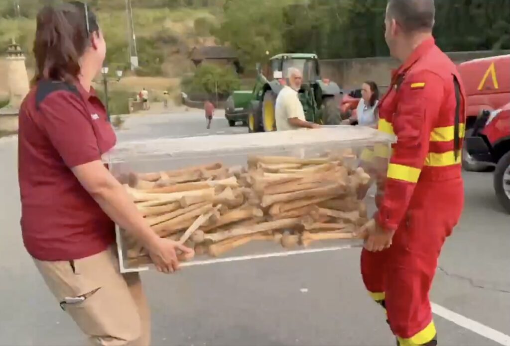 Incendio in Spagna: ossa storiche di otto re d'Aragona trasferite per sicurezza
