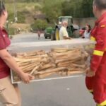 Incendio in Spagna: ossa storiche di otto re d'Aragona trasferite per sicurezza