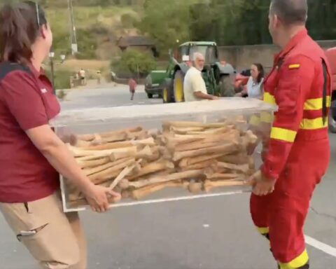 Incendio in Spagna: ossa storiche di otto re d'Aragona trasferite per sicurezza