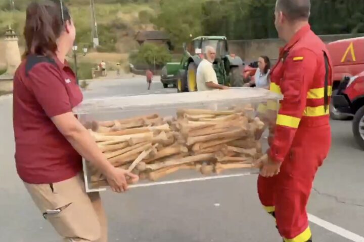 Incendio in Spagna: ossa storiche di otto re d'Aragona trasferite per sicurezza