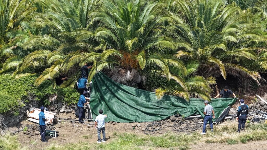La Corea del Sud riapre le indagini su 310mila persone scomparse dopo arresto di un agente