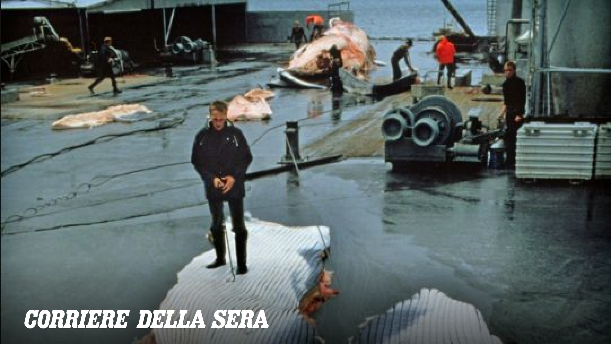 L'Islanda verso un referendum sulla riapertura dei negoziati di adesione all'Ue
