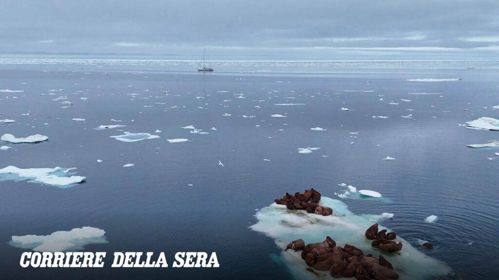 Lo scioglimento della calotta polare: testimoni diretti tra Alaska e Canada