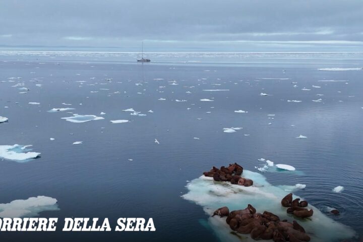 Lo scioglimento della calotta polare: testimoni diretti tra Alaska e Canada