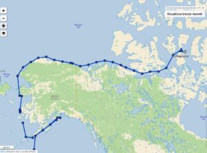 Navigazione nelle acque senza ghiaccio di Cambridge Bay tra orsi e balene