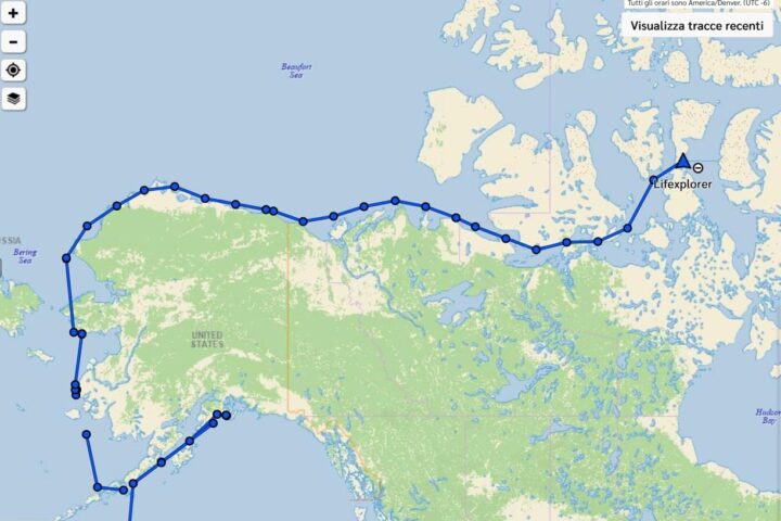 Navigazione nelle acque senza ghiaccio di Cambridge Bay tra orsi e balene