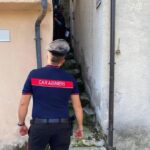 Omicidio di Maria Vittoria Carbone a Tito: uccisa dal figlio Giampiero Santamaria dopo violenta lite