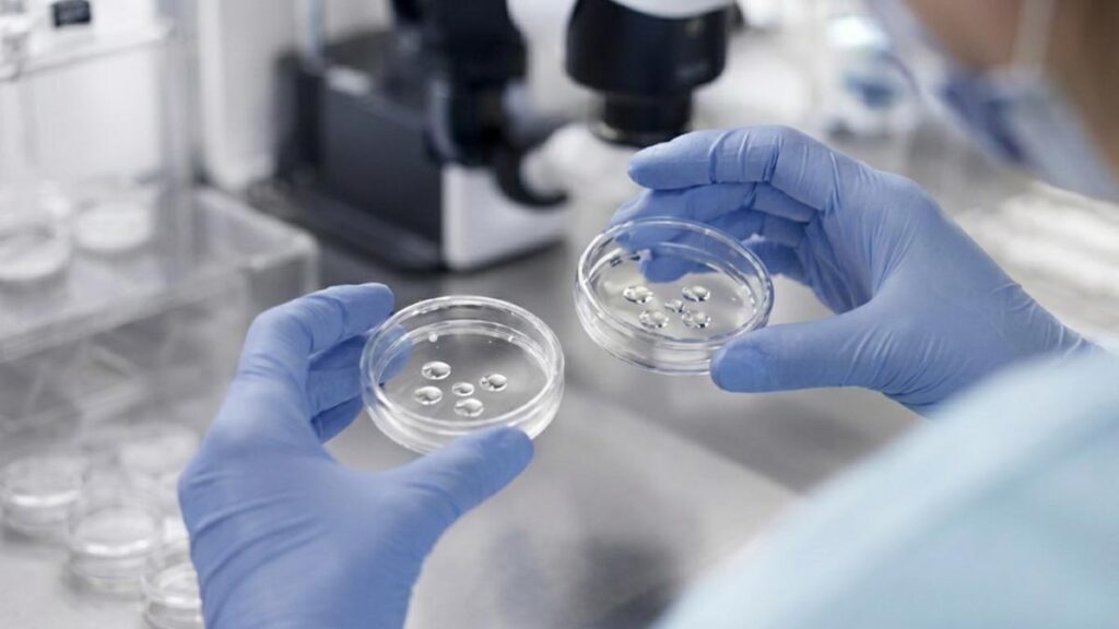 Scambio di embrioni al San Raffaele, la legge italiana sulla procreazione medicalmente assistita spiegata da esperti