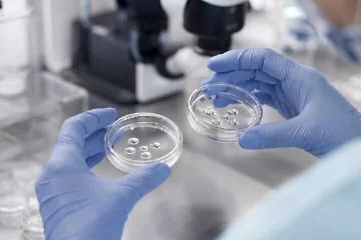 Scambio di embrioni al San Raffaele, la legge italiana sulla procreazione medicalmente assistita spiegata da esperti
