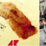 Alberto Stasi, scontro tra consulenti: divergenze su nuove prove nell'omicidio di Chiara Poggi
