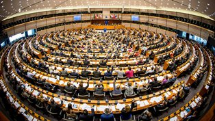 Il Parlamento europeo chiede un'azione coordinata contro il traffico di droga e misure più rigorose