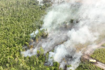 Incendi devastanti in Indonesia: oltre 50mila persone soffrono per il fumo a causa delle fiamme nelle torbiere