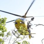 Incidente mortale in a macchina vendemmiatrice tra Alcamo e Grisì, un morto e un ferito grave
