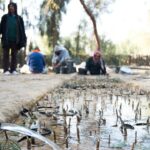 L’AICS partecipa all’Euro-Mediterranean Water Forum 2026 a Roma per affrontare la gestione sostenibile delle risorse idriche