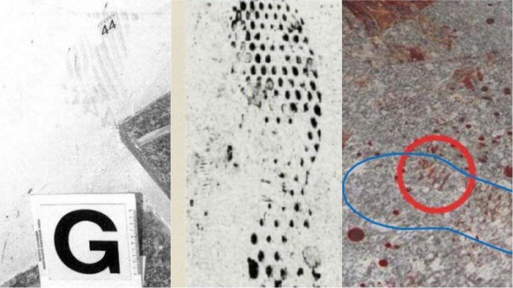 Le scarpe 42 dell’assassino di Chiara Poggi compatibili con le misure di Andrea Sempio
