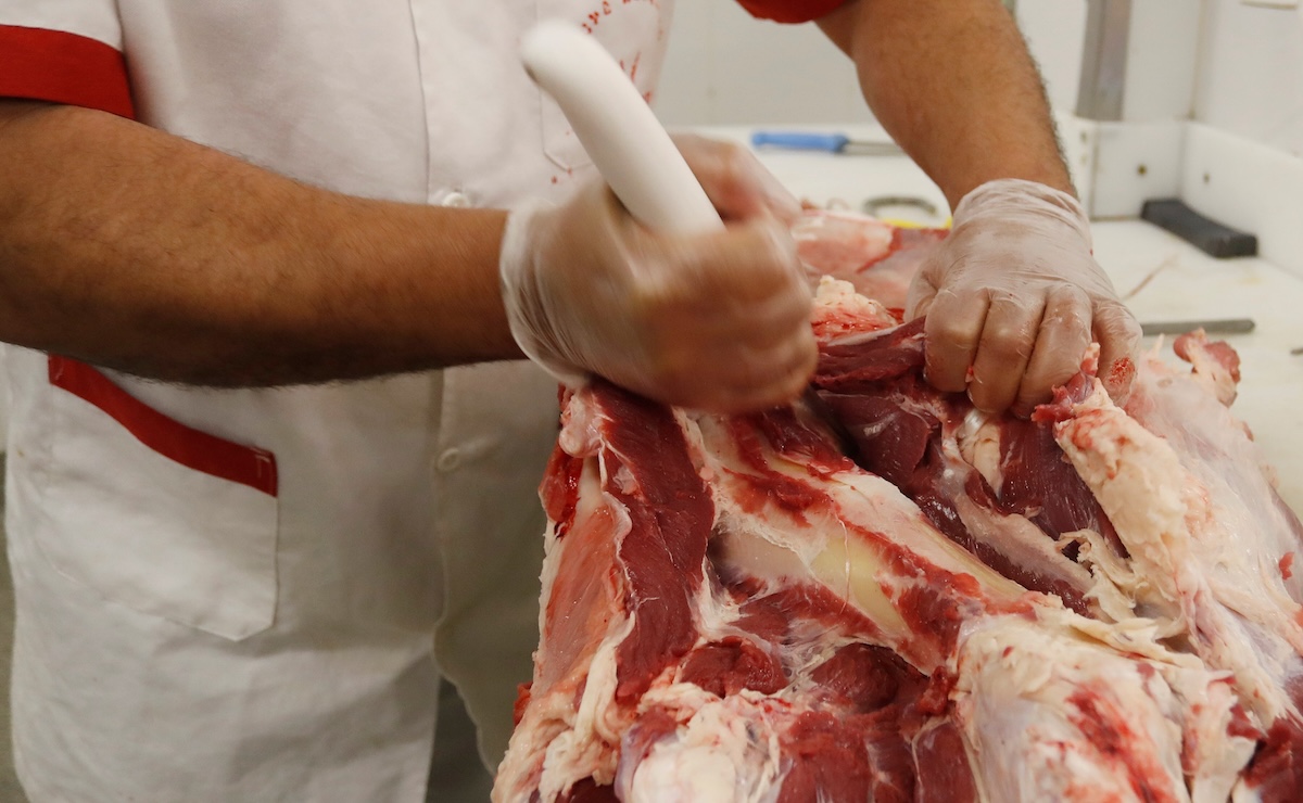 L'Unione Europea sospende le importazioni di carne dal Brasile per violazione delle norme sanitarie