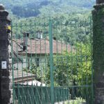 Renzi racconta il suo rapporto con Guccini: "Io lo amavo, lui no, ma con stile"