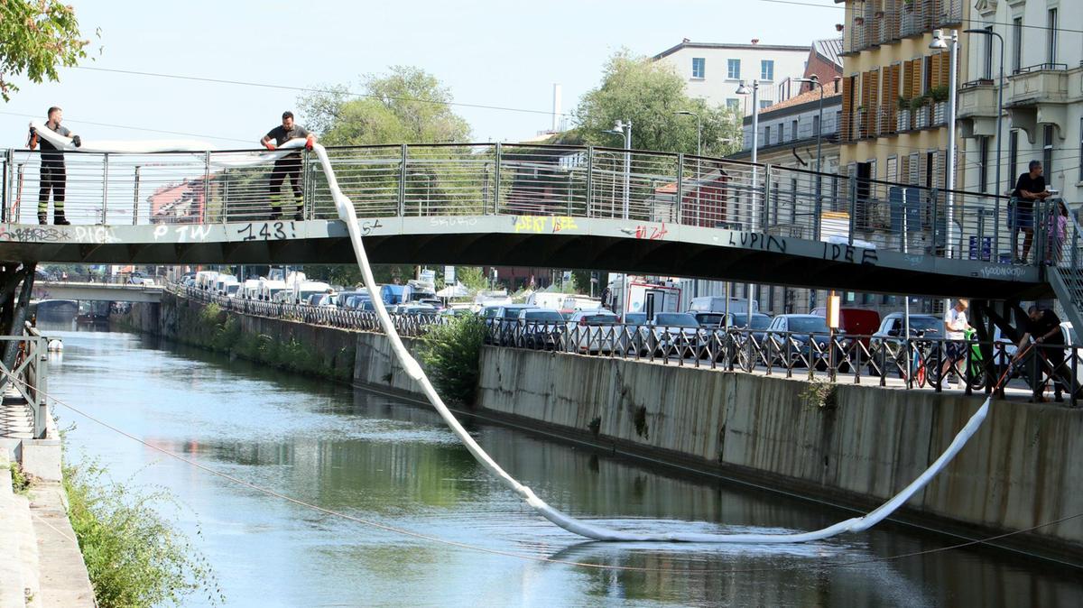 Sversamento di idrocarburi lungo il Naviglio: marea nera di 28 chilometri minaccia la biodiversità
