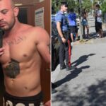 Taurus ferito in sparatoria a Cassano d'Adda: colpito alla caviglia mentre passeggia con il cane