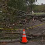Tempesta sulla costa Est degli Stati Uniti: un morto a New York per il crollo di un albero