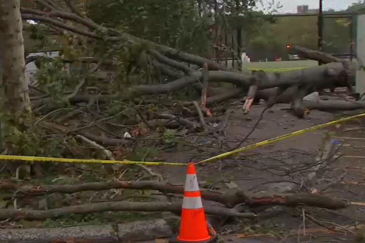 Tempesta sulla costa Est degli Stati Uniti: un morto a New York per il crollo di un albero