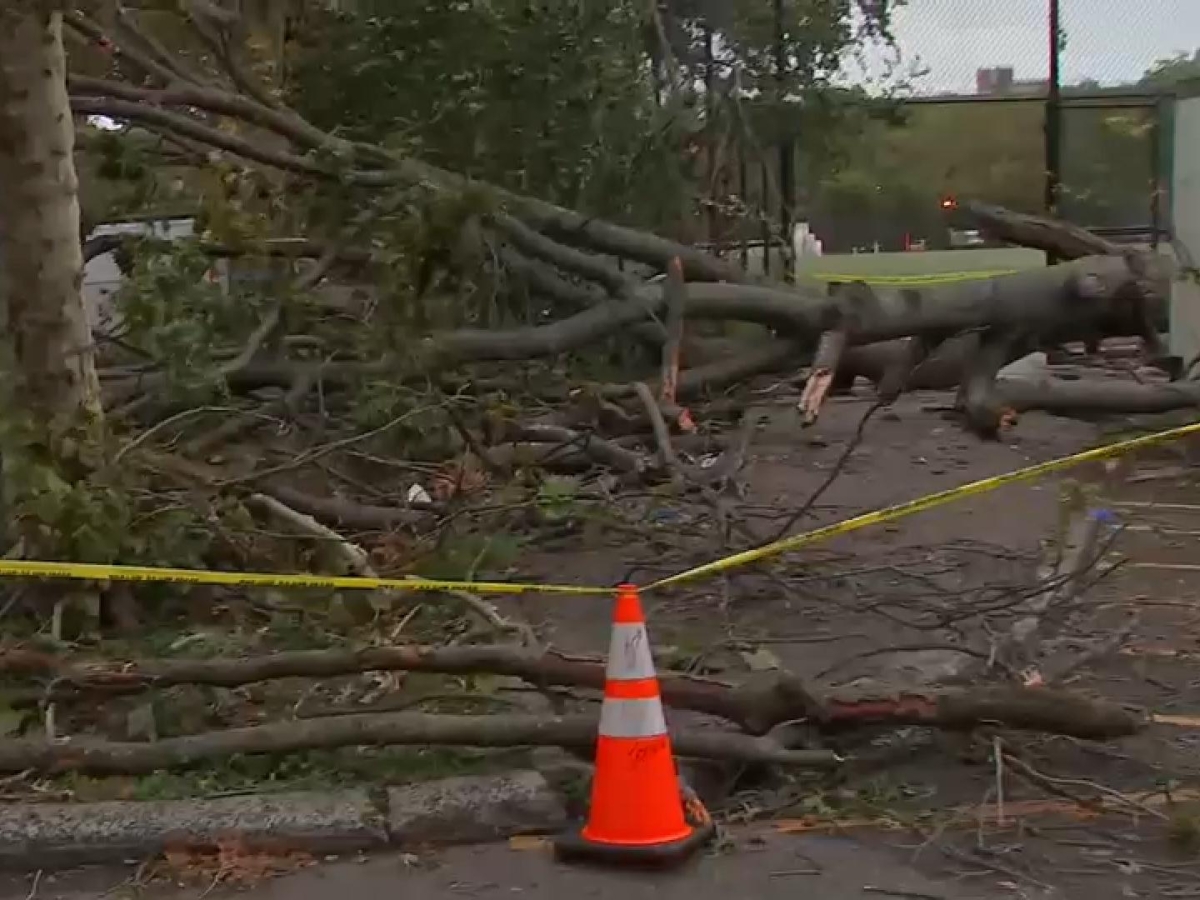 Tempesta sulla costa Est degli Stati Uniti: un morto a New York per il crollo di un albero