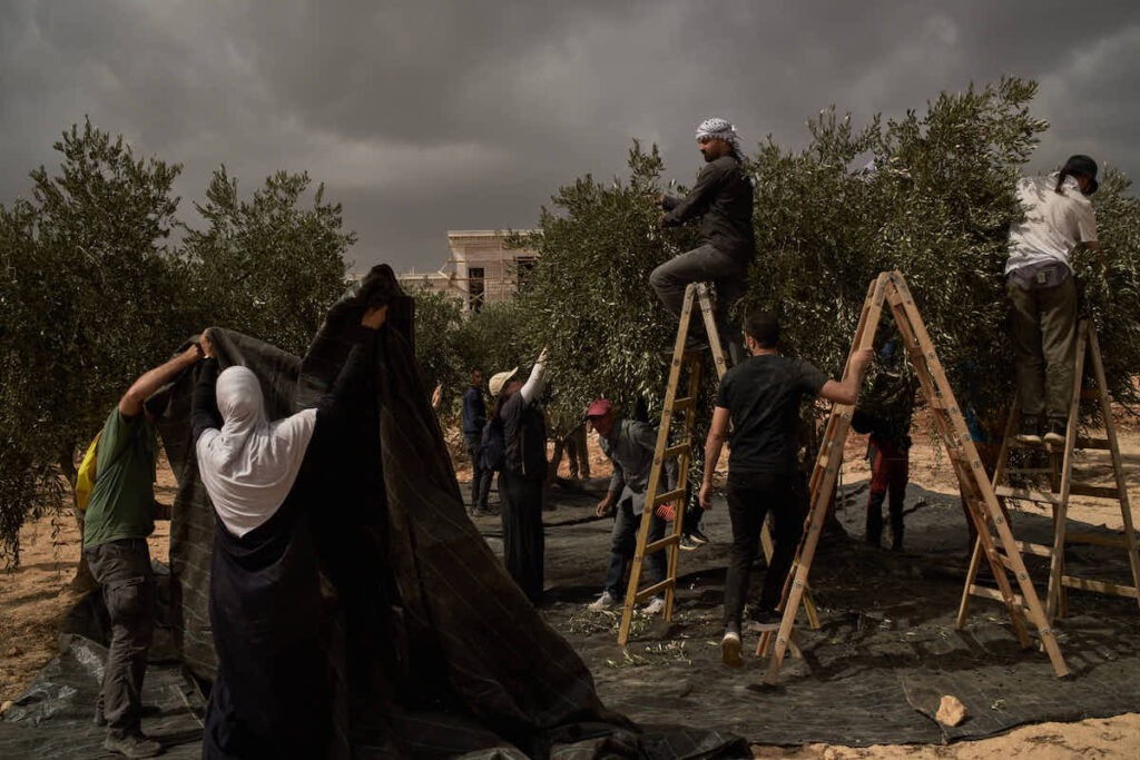 Aggressione della fotoreporter Heidi Levine da parte di coloni israeliani in Cisgiordania