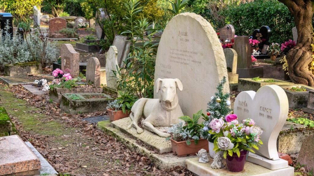 Cresce il numero di comuni italiani che modificano i regolamenti cimiteriali per la sepoltura di animali domestici