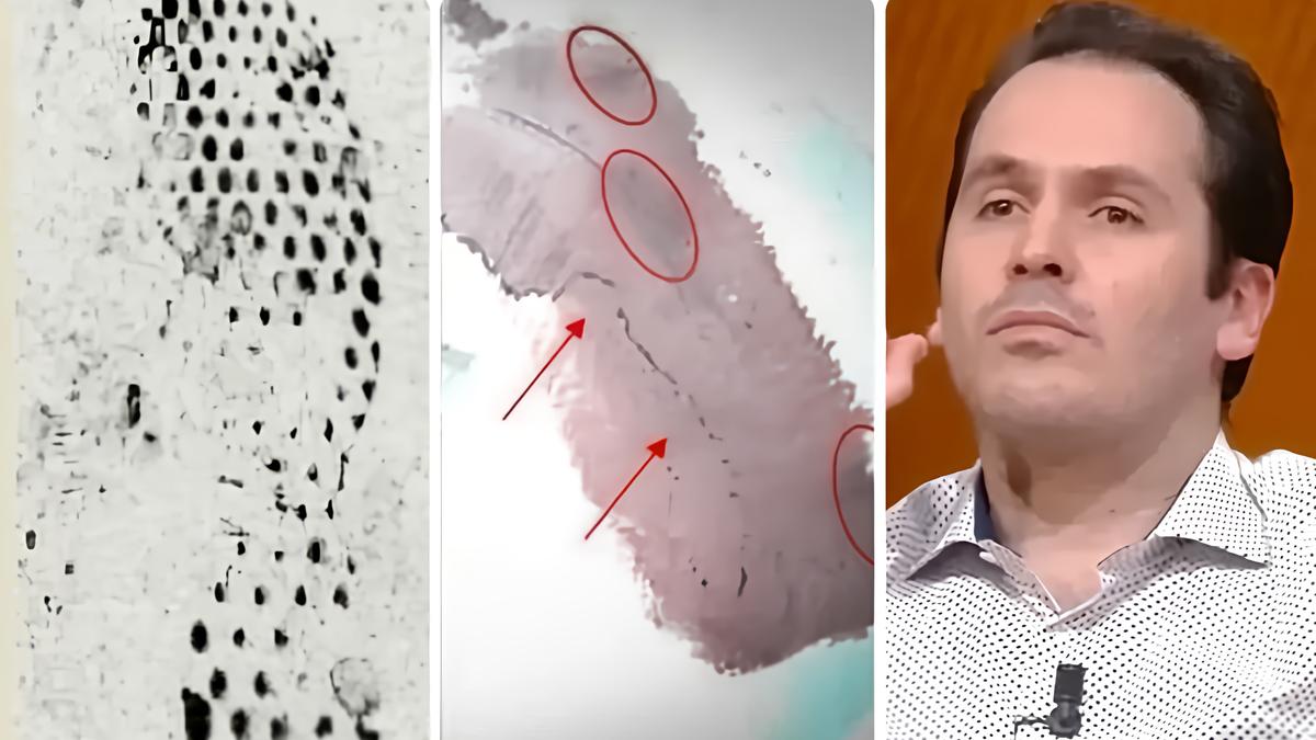 Delitto di Garlasco: accuse e difesa su telefonate e prove genetiche nell'omicidio di Chiara Poggi