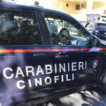 Falsi allarmi bomba: evacuate scuole a Lucca, Arezzo e Padova, indagini in corso