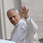 Il cardinale Hollerich: “Malumori in Curia dopo l'annuncio del tumore del Papa”