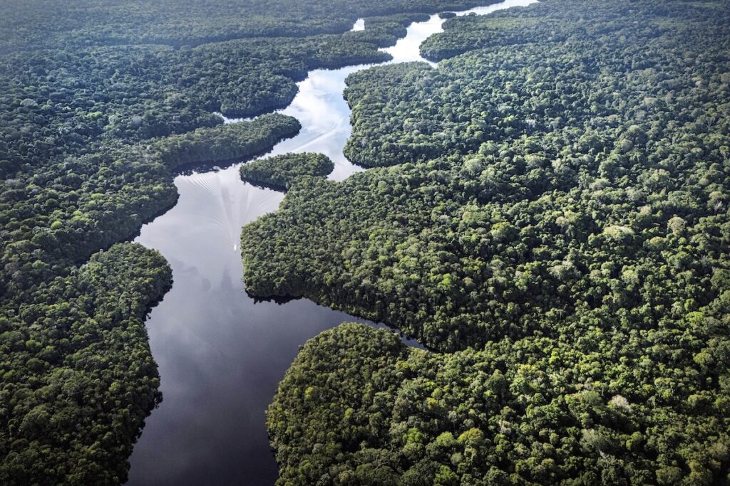 In Brasile la deforestazione della foresta amazzonica scende ai minimi storici dal 1988