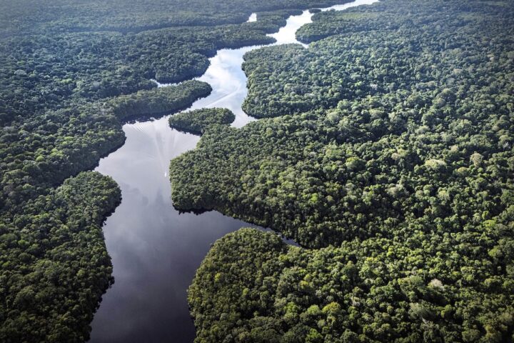 In Brasile la deforestazione della foresta amazzonica scende ai minimi storici dal 1988