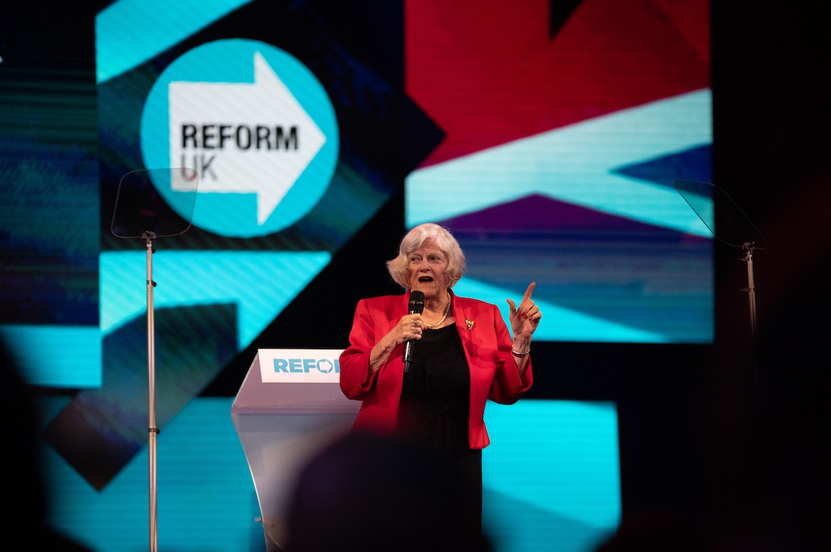 In Gran Bretagna un uomo accusato dell'omicidio di Ann Widdecombe pianifica attacchi contro Nigel Farage