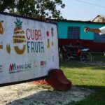 Italia e Cuba: concluso il progetto "CubaFruta" per lo sviluppo delle filiere di ananas e avocado