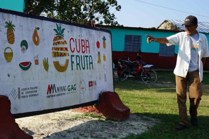 Italia e Cuba: concluso il progetto "CubaFruta" per lo sviluppo delle filiere di ananas e avocado